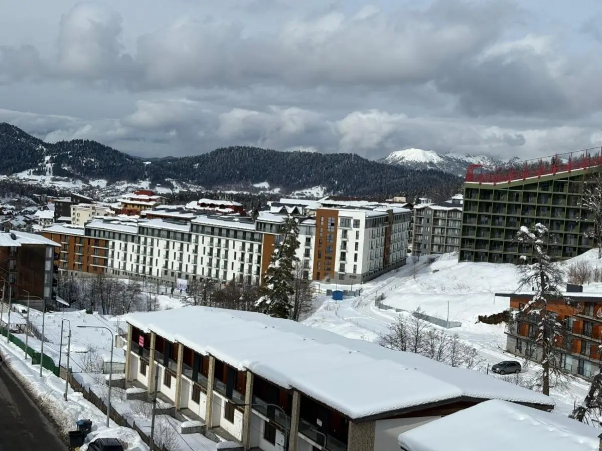 Bakuriani Valley 10