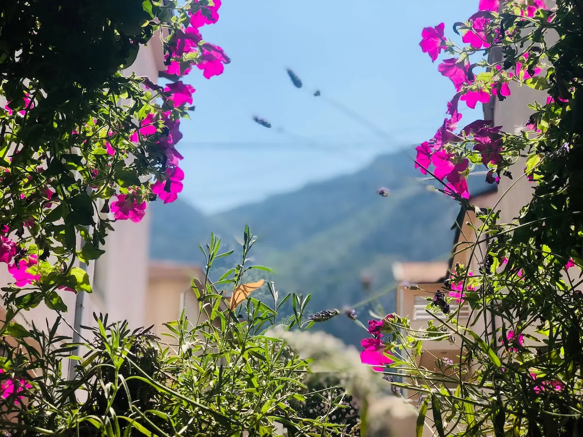 Lavanda Apartment-15 min walk to the Old Bridge