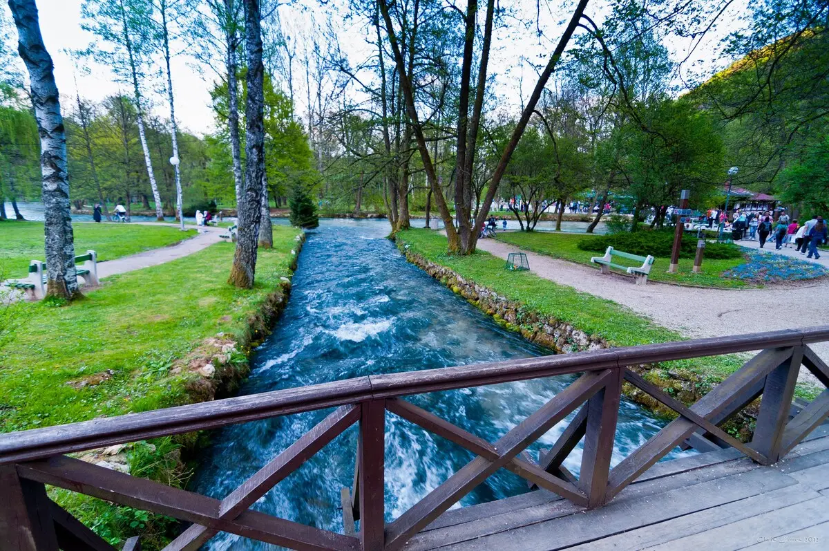 Luxury Villa Plandište 1