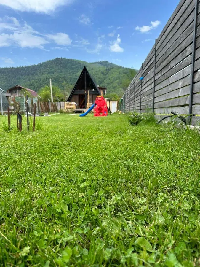Borjomi Story