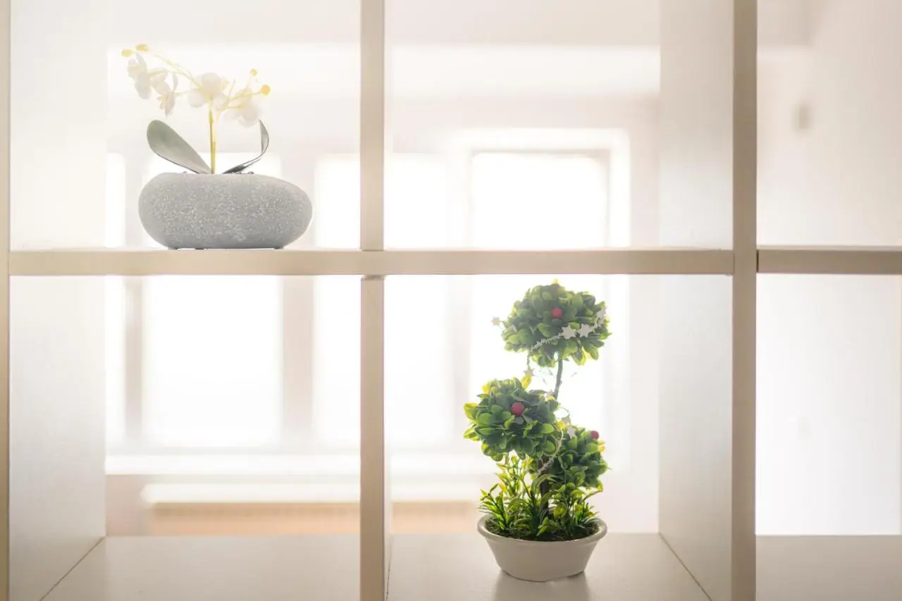 STUDIO APARTMENT SiLVER