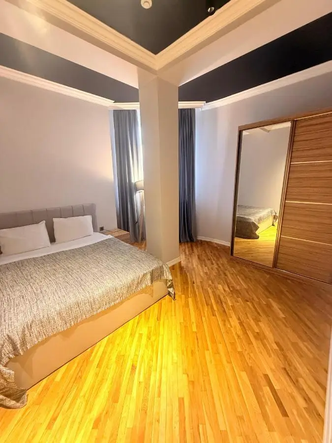 lux-deluxe city apartment