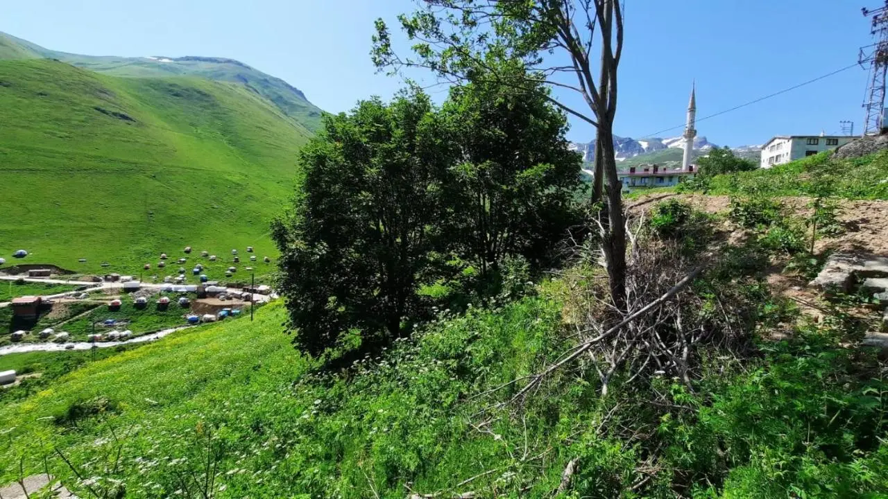 Turan Dağ Evi