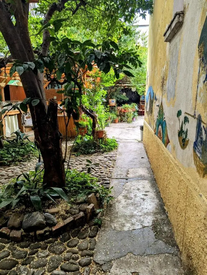Tirana Backpacker Hostel