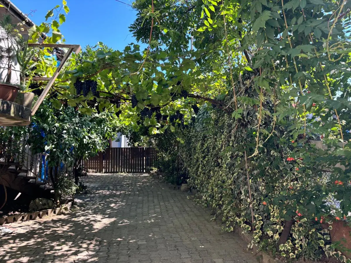 Downtown guest house