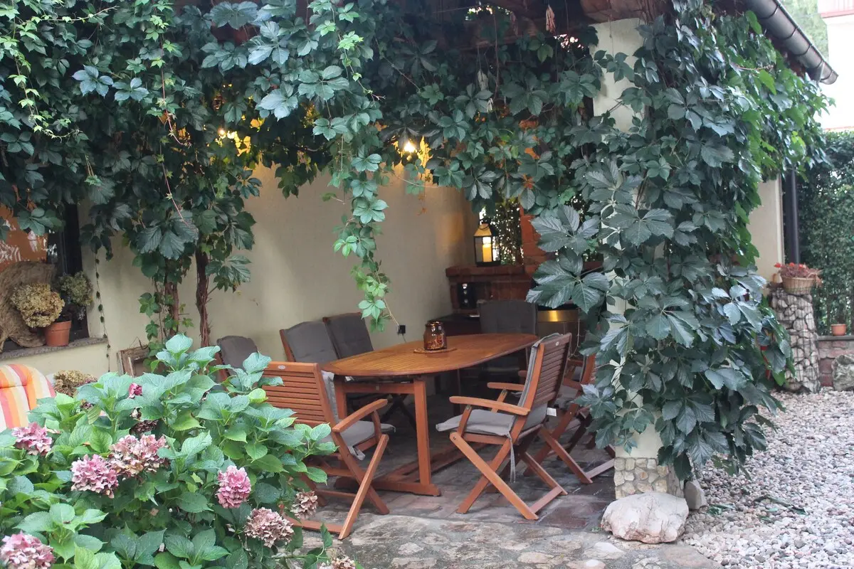 Olympic Silver Apt/ Free parking/ Garden/ Grill