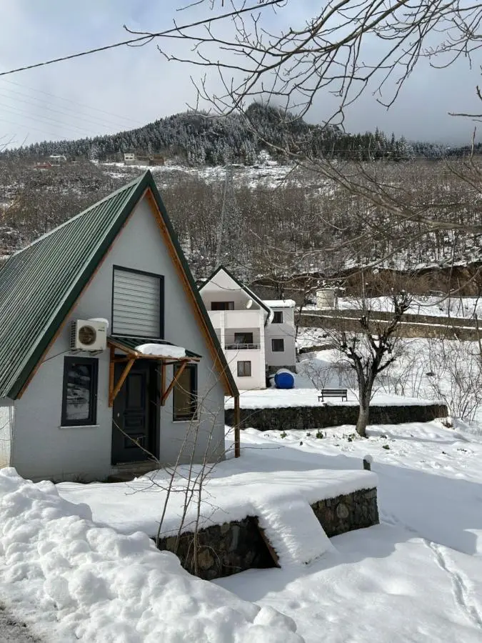 Ali's House