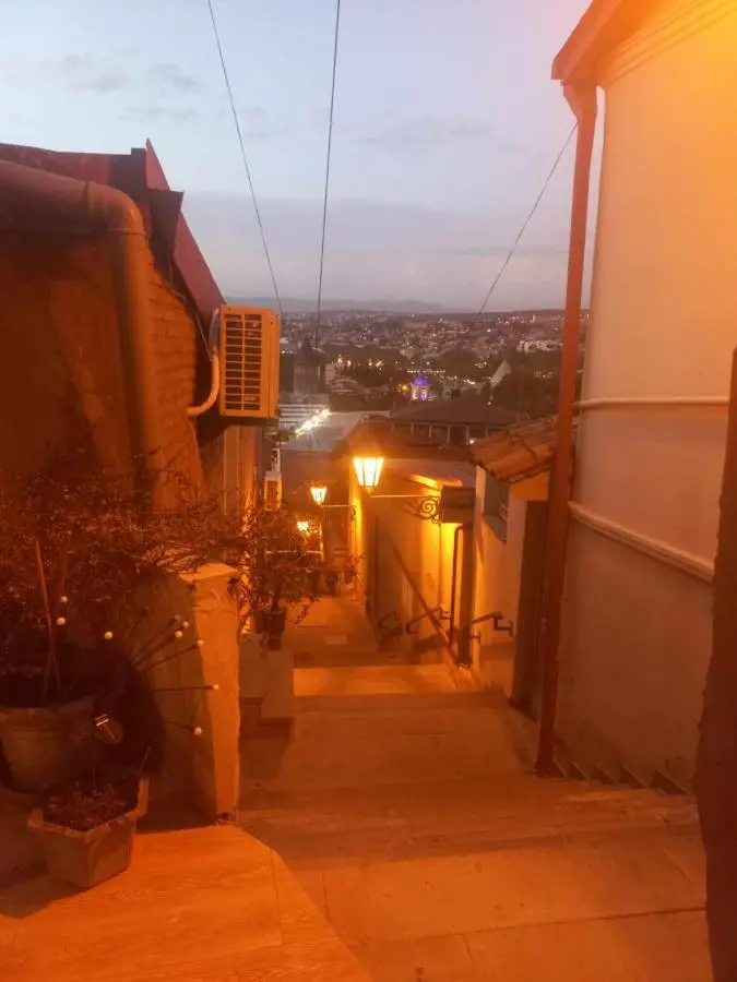 Overlooking Old Tbilisi Nino 2