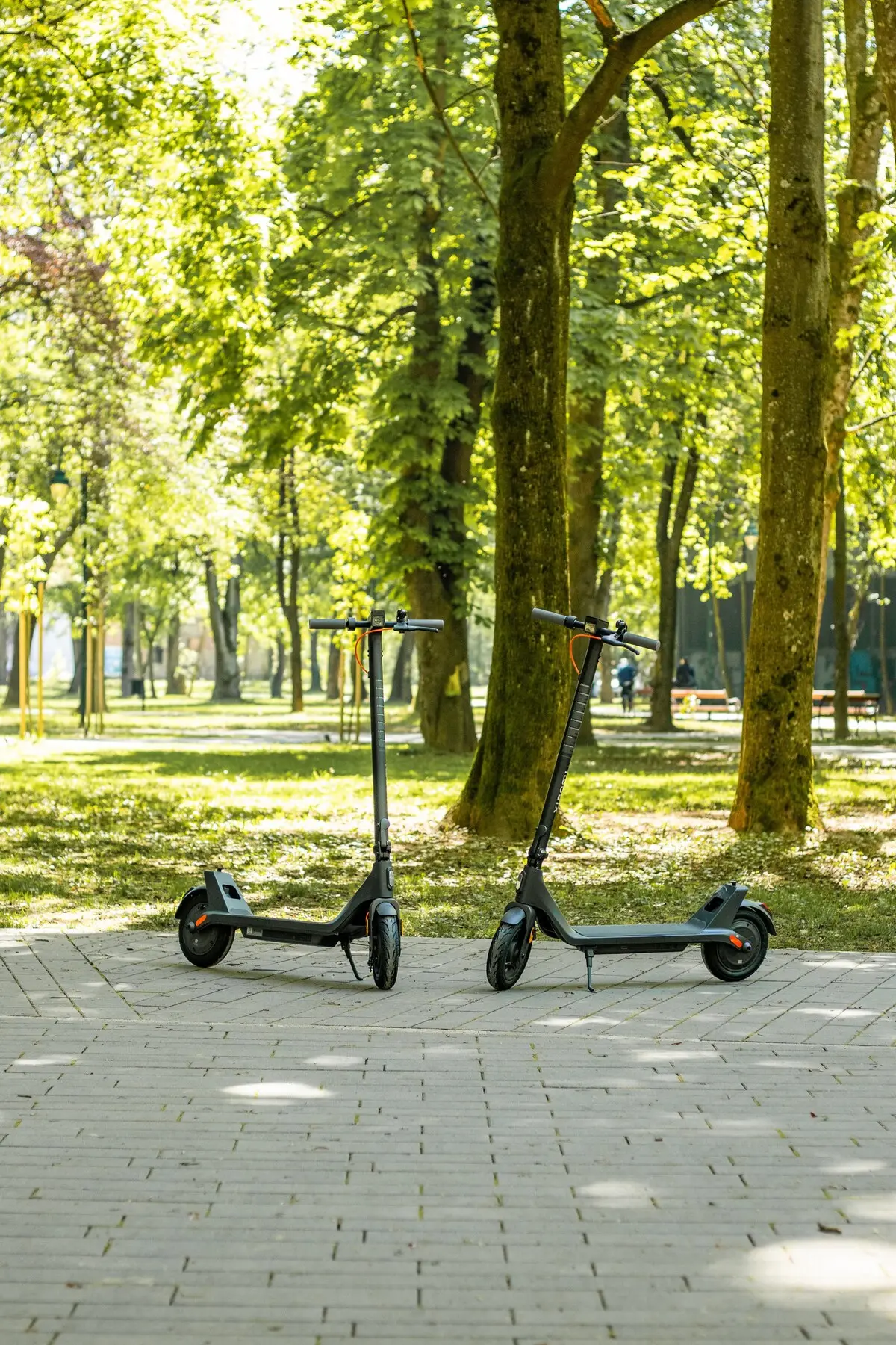 Ilidza Park King Studio
