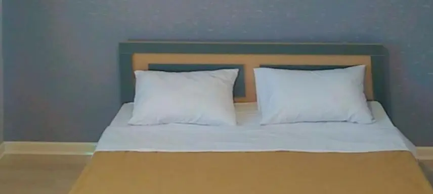 Gabala rent House