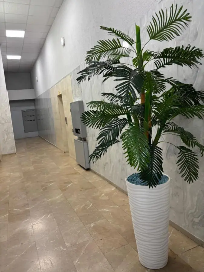 VIP BIG Apartment