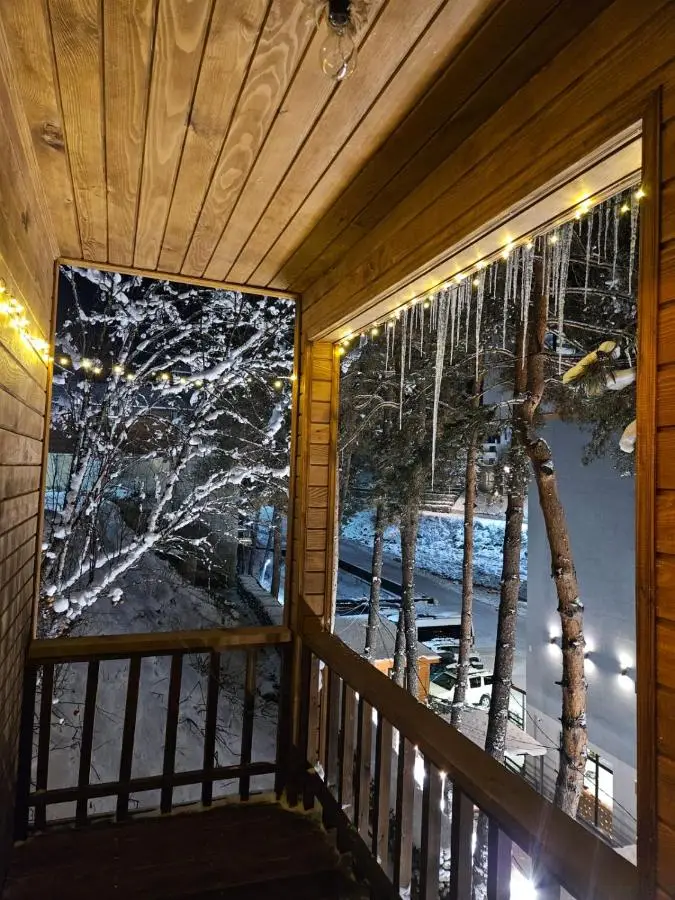 Tatu's wooden hut