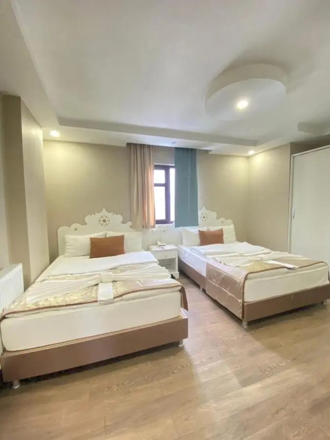 Hotel Kent Ani