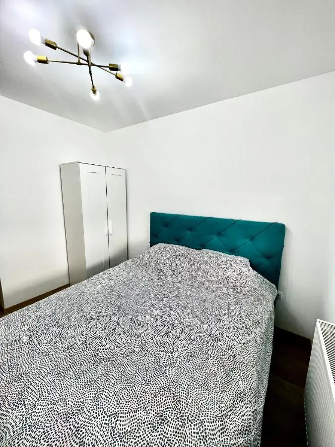 Luxury apartment Ema