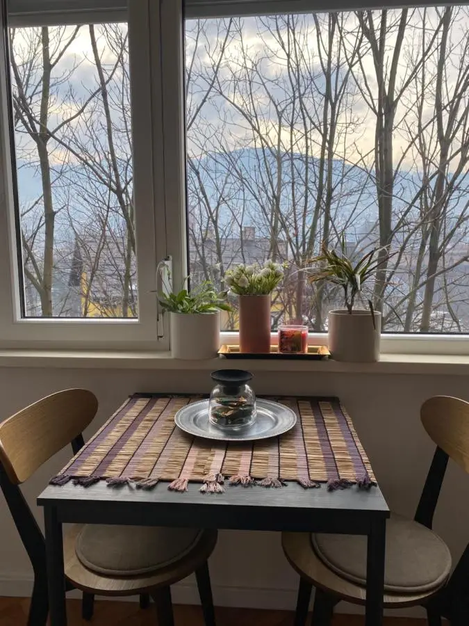 Studio Central Apartment