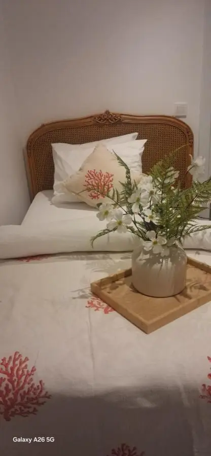 The White Swan Suites Beyoglu