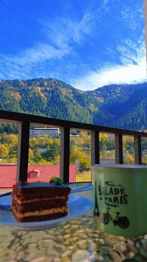 New apartments in borjomi