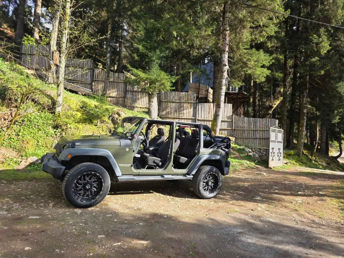 Small Forest