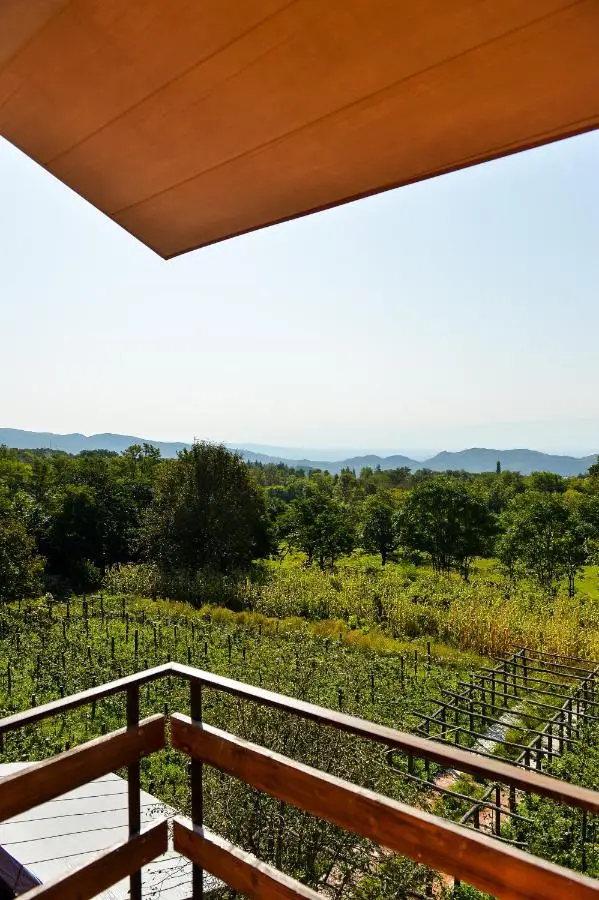 Chateau Chikovani