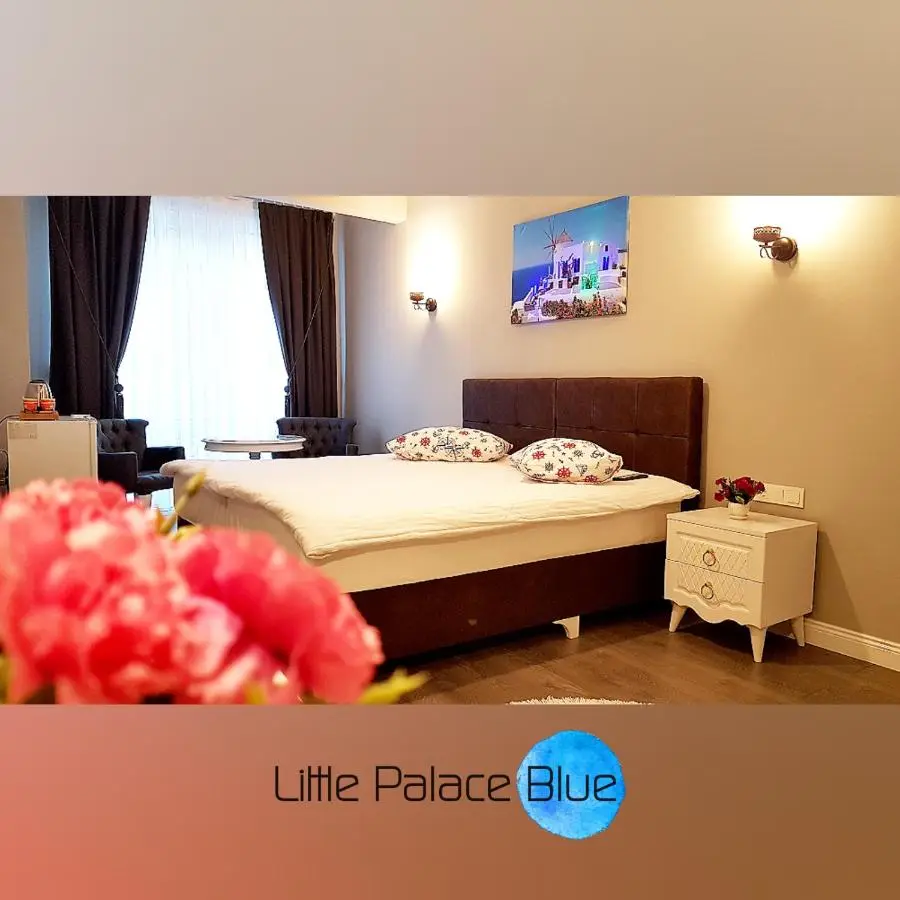 Little Palace Blue Apartment