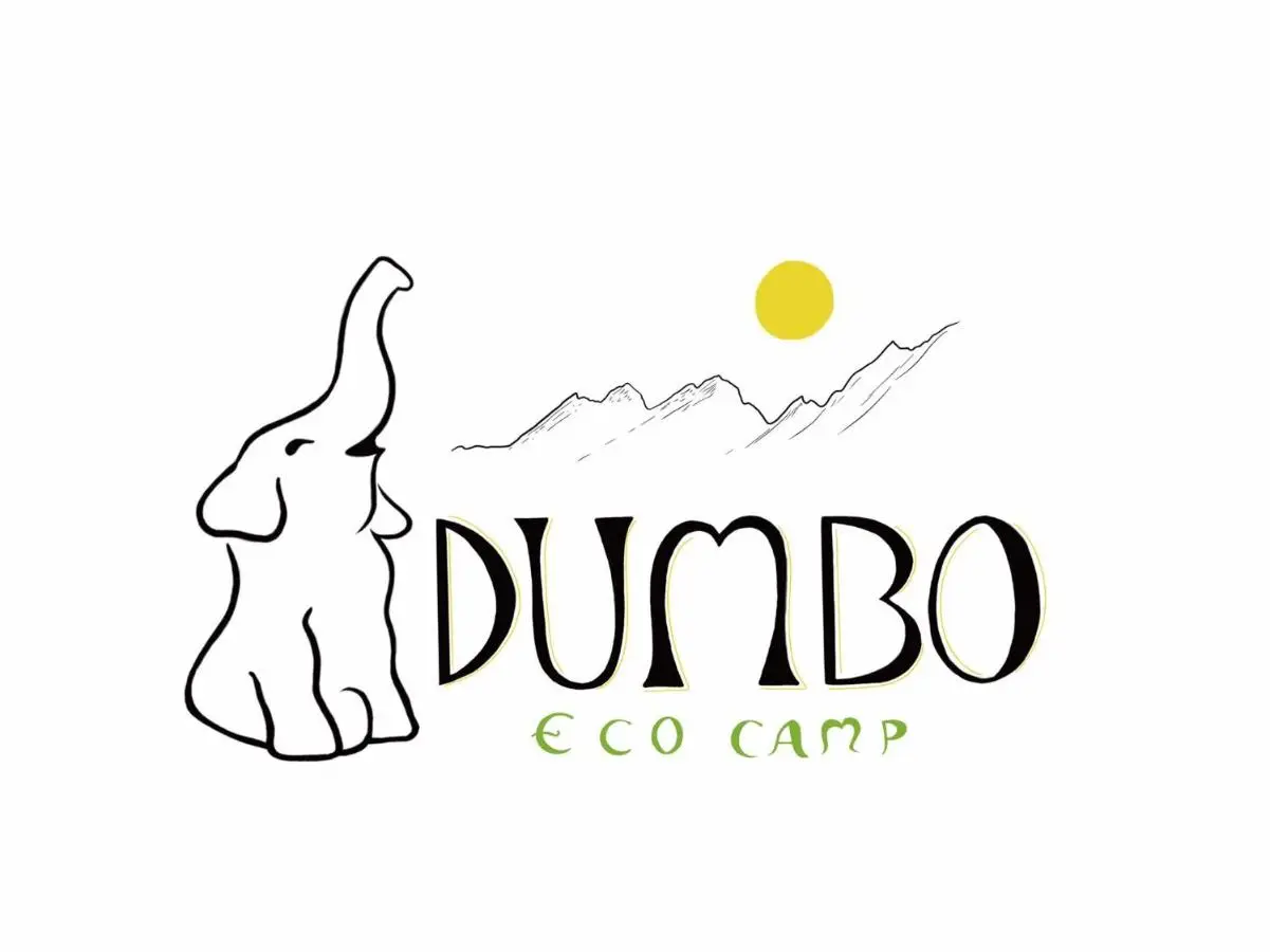 Dumbo Eco Camp