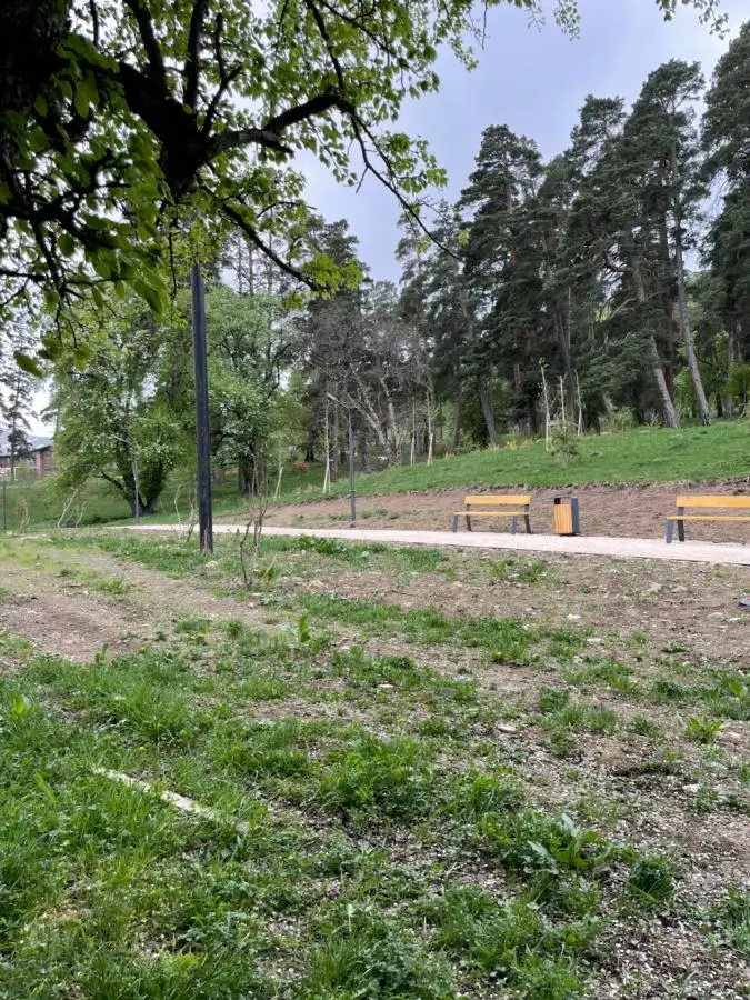 Hillside Bakuriani