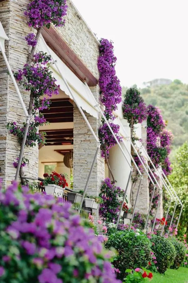 Rapo's Resort Hotel