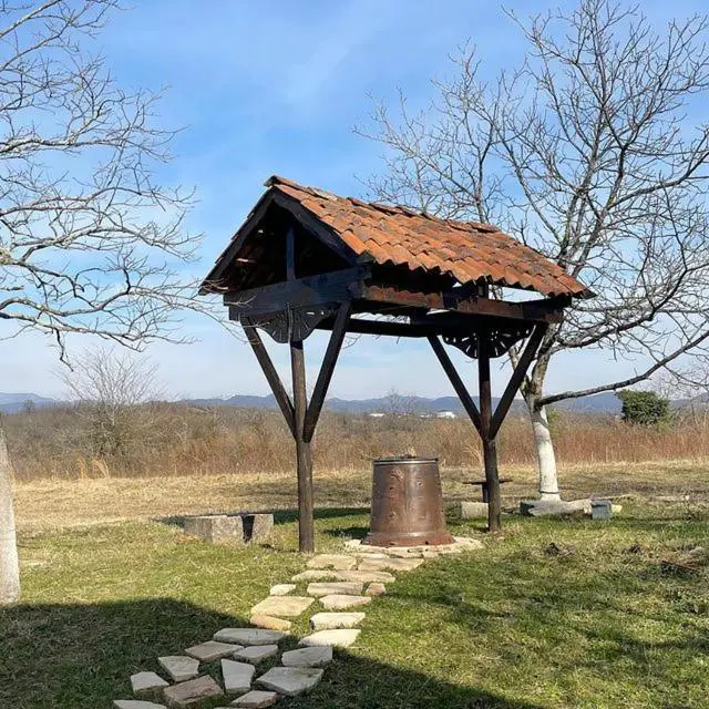 Tskaltubo village - nature resort