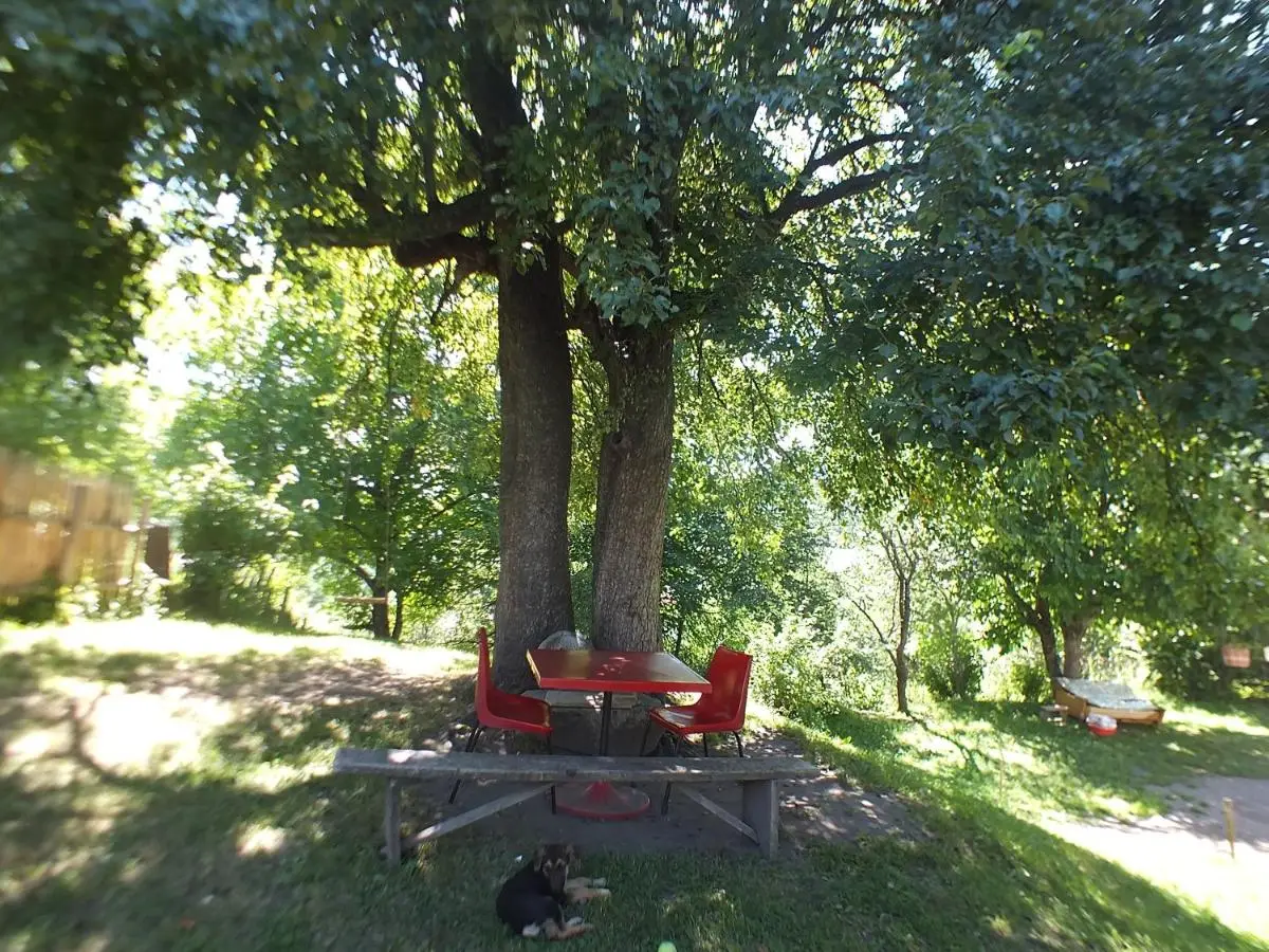 Gogi Jafaridze's Guesthouse