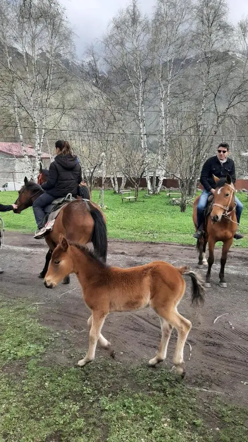 Terkhena