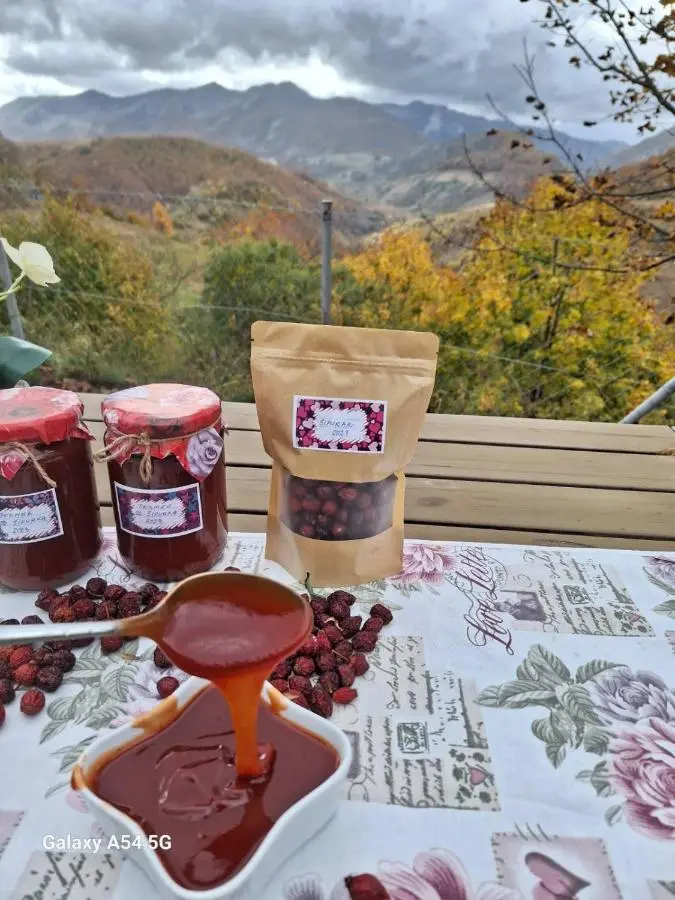 Holiday home Vila Bjelašnica
