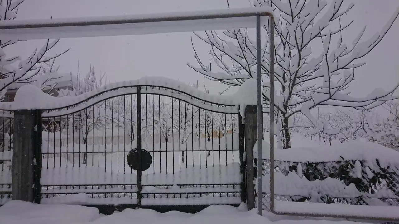 Our Garden