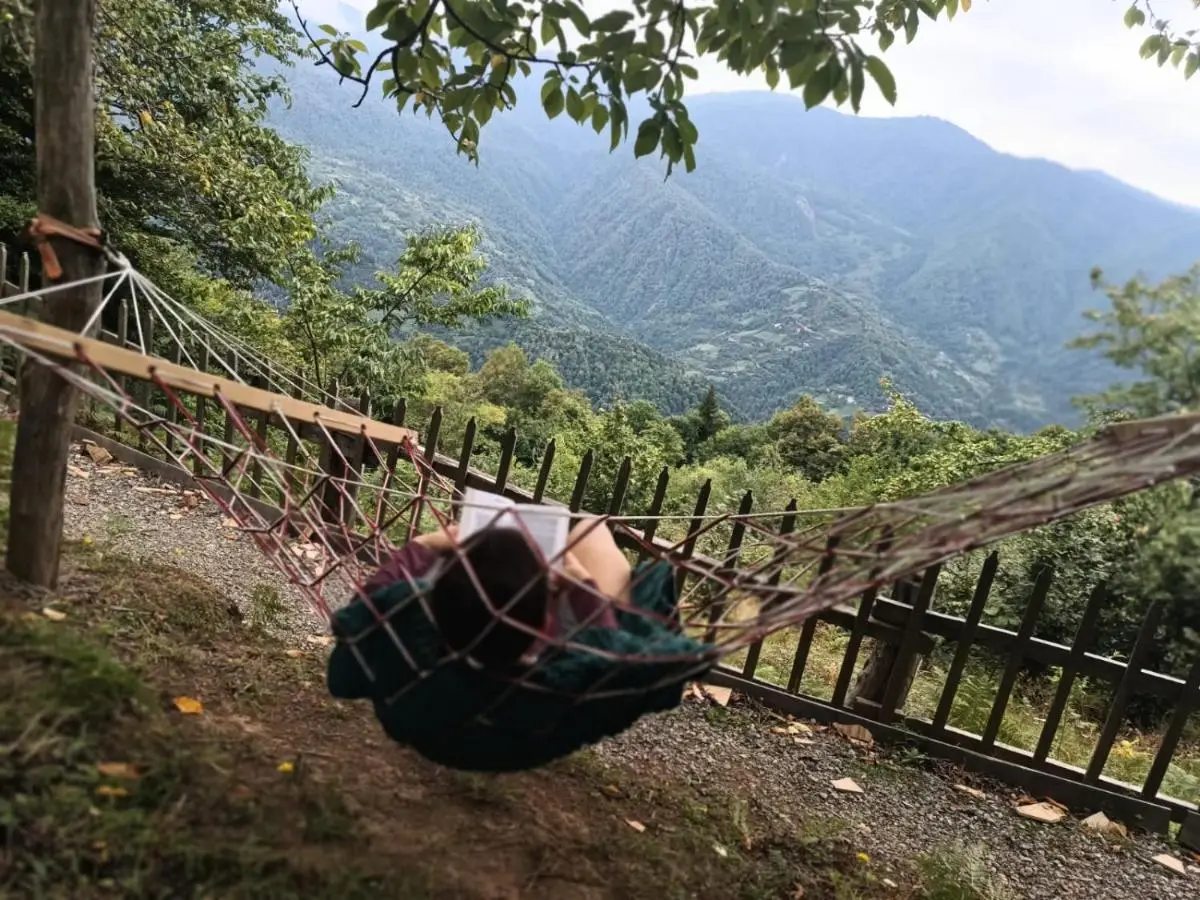 cottage panorama merisi
