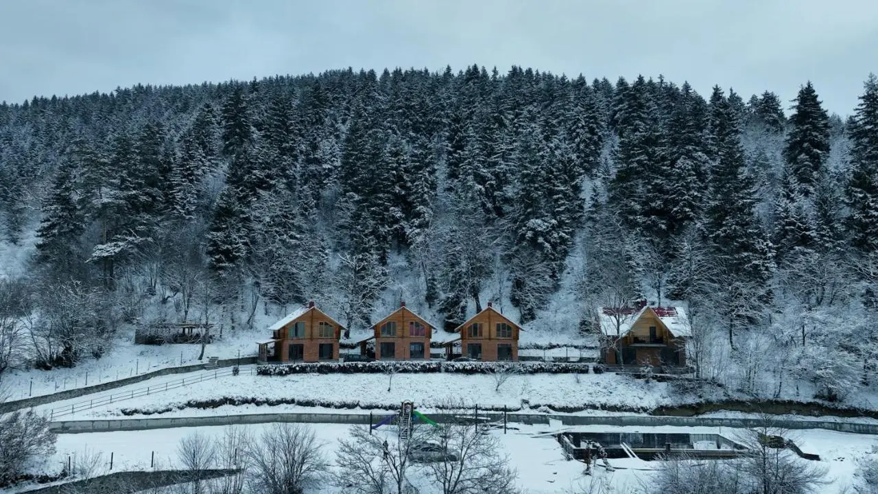 Eko cottages