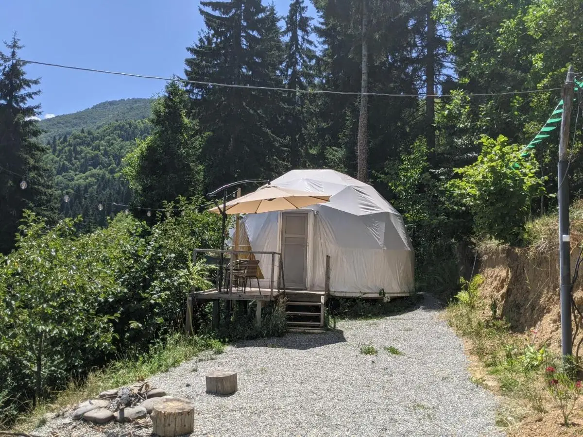 Ajara Glamping Kokotauri