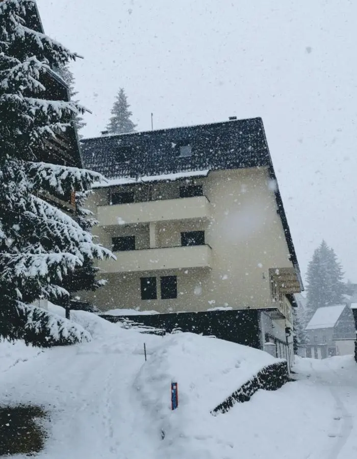 Apartman Spirit of Vlašić