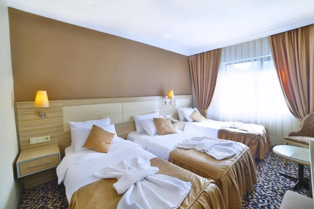 Hotel Grand Emin