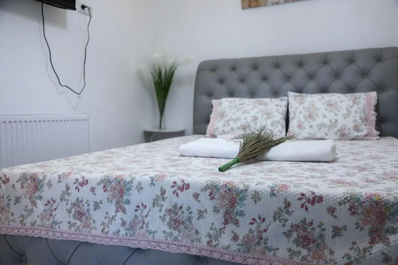 2-bedroom the entire apartment Very central Location 3 minutes walk to central square, Kolkha Fountain