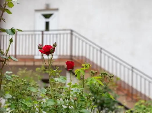 Apartmani BA