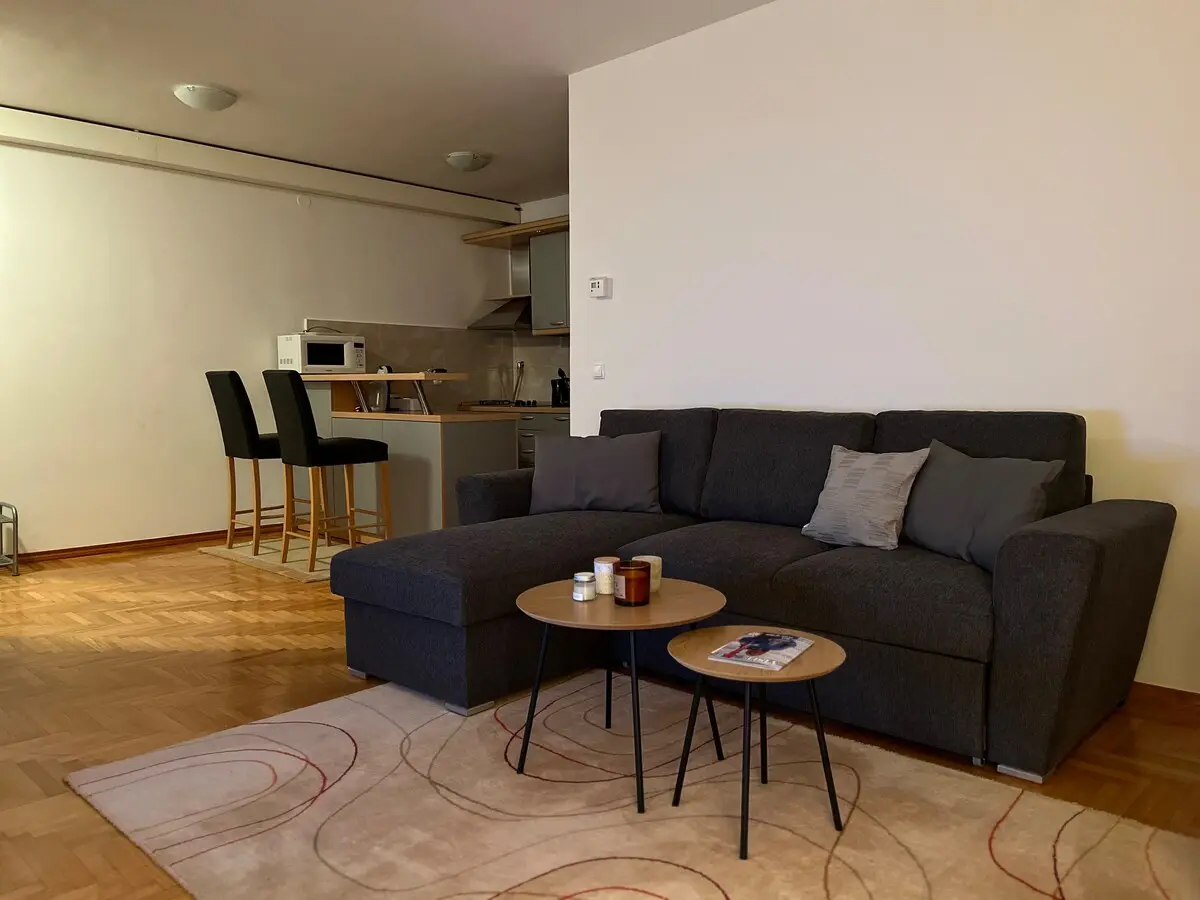 Apartment of Fine Arts!!