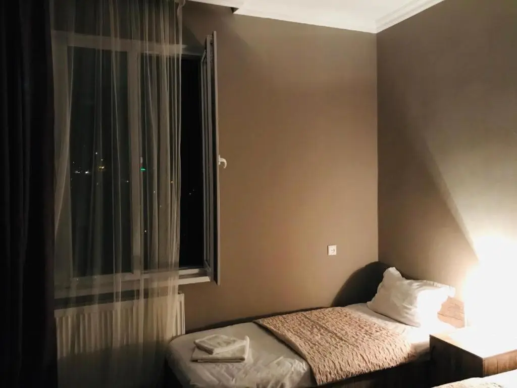 Guest House Check in Borjomi