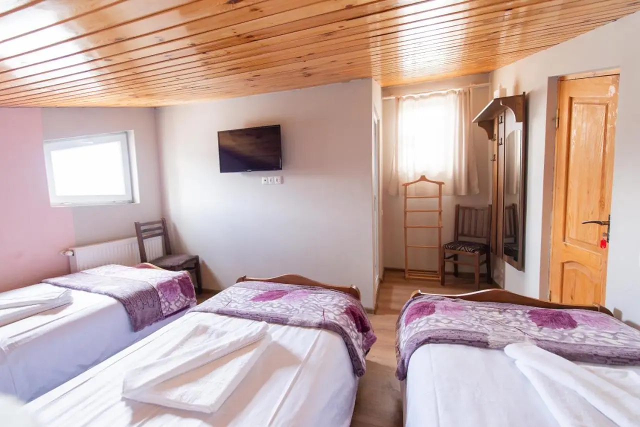 Hotel Zemo Aragvi