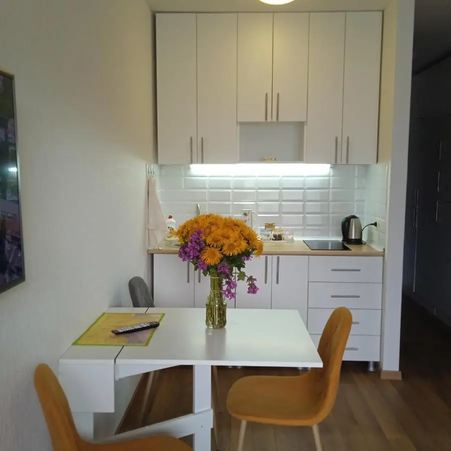 Roshka Apartment 307