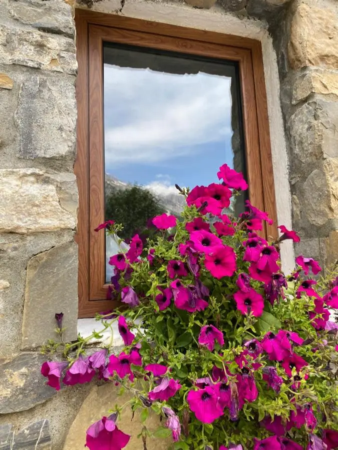 Guesthouse Bec Villi