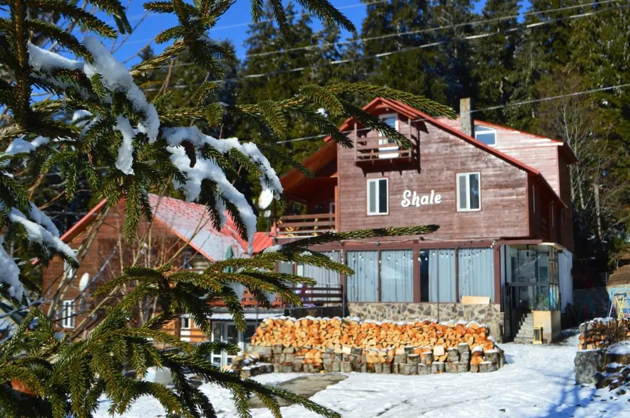 Boutique Hotel Shale