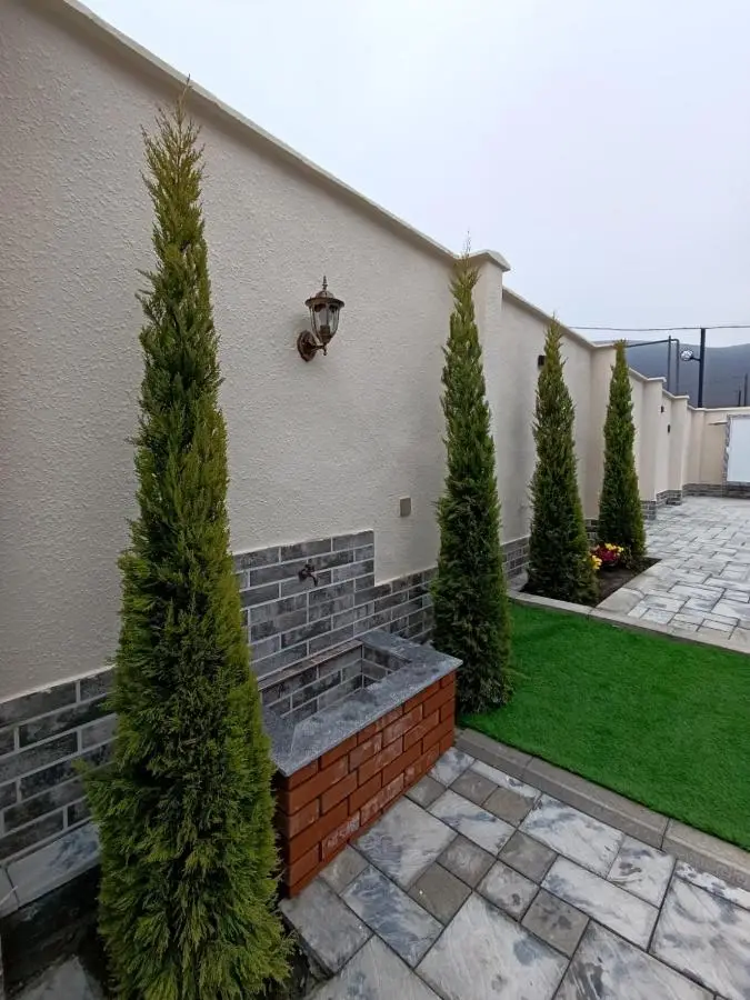 A Frame Houses