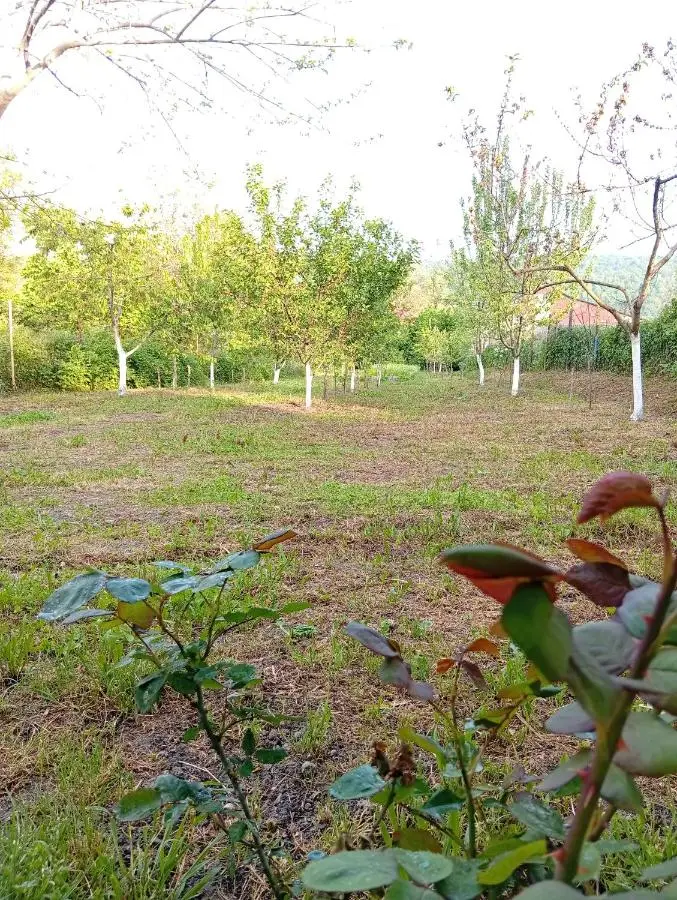 Shahdag Beloved Home