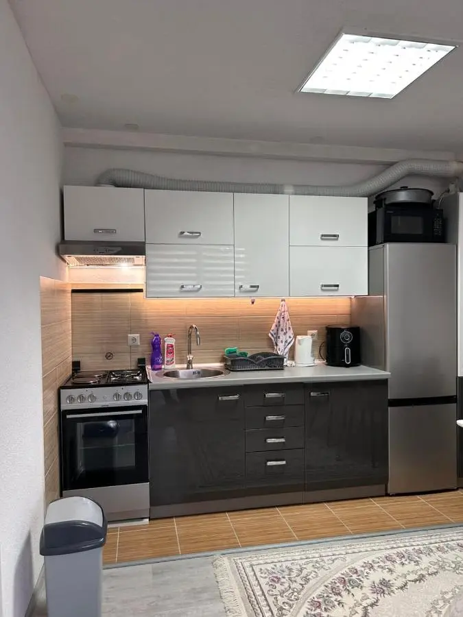 Apartment Alisa