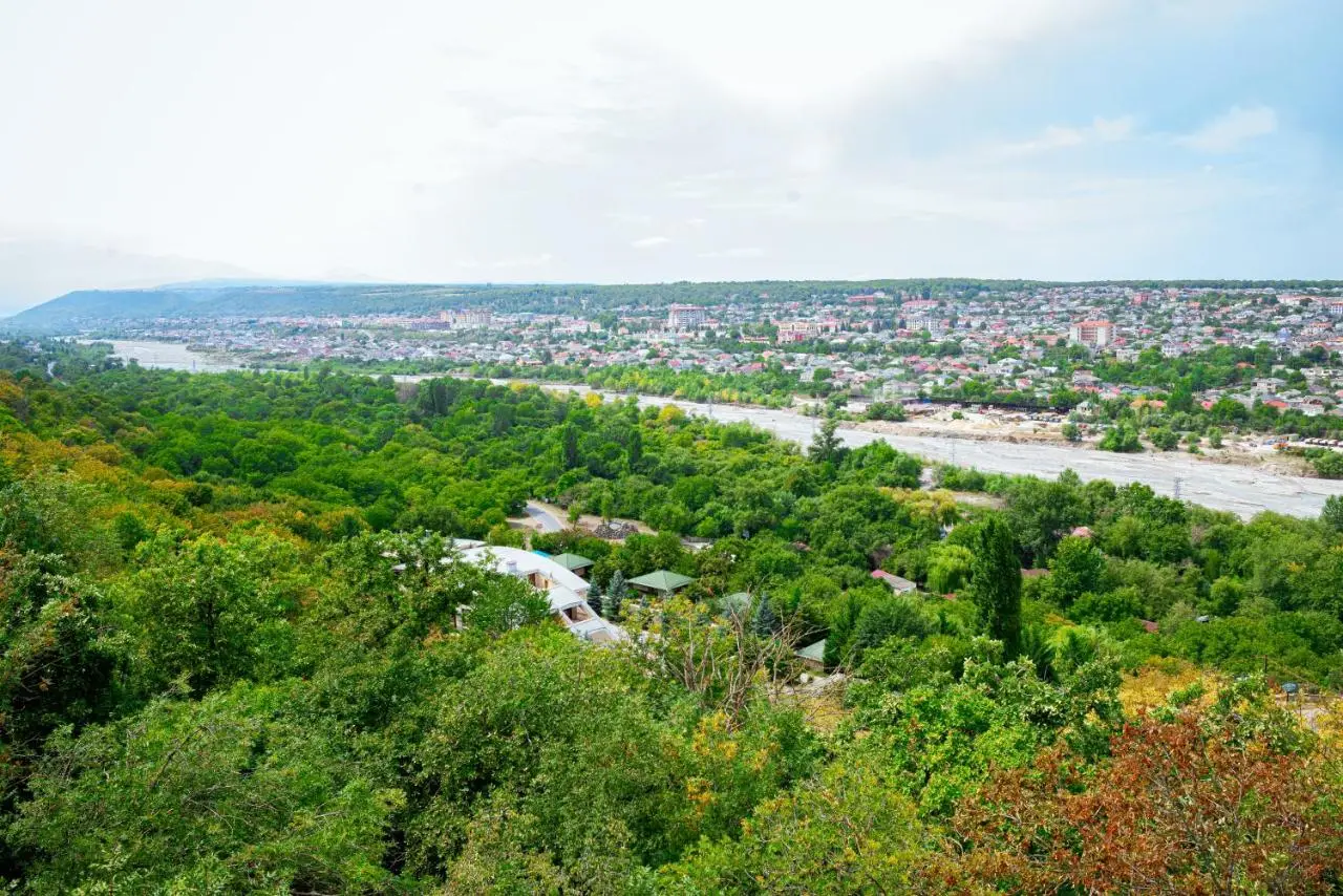 Qachaquch Forest