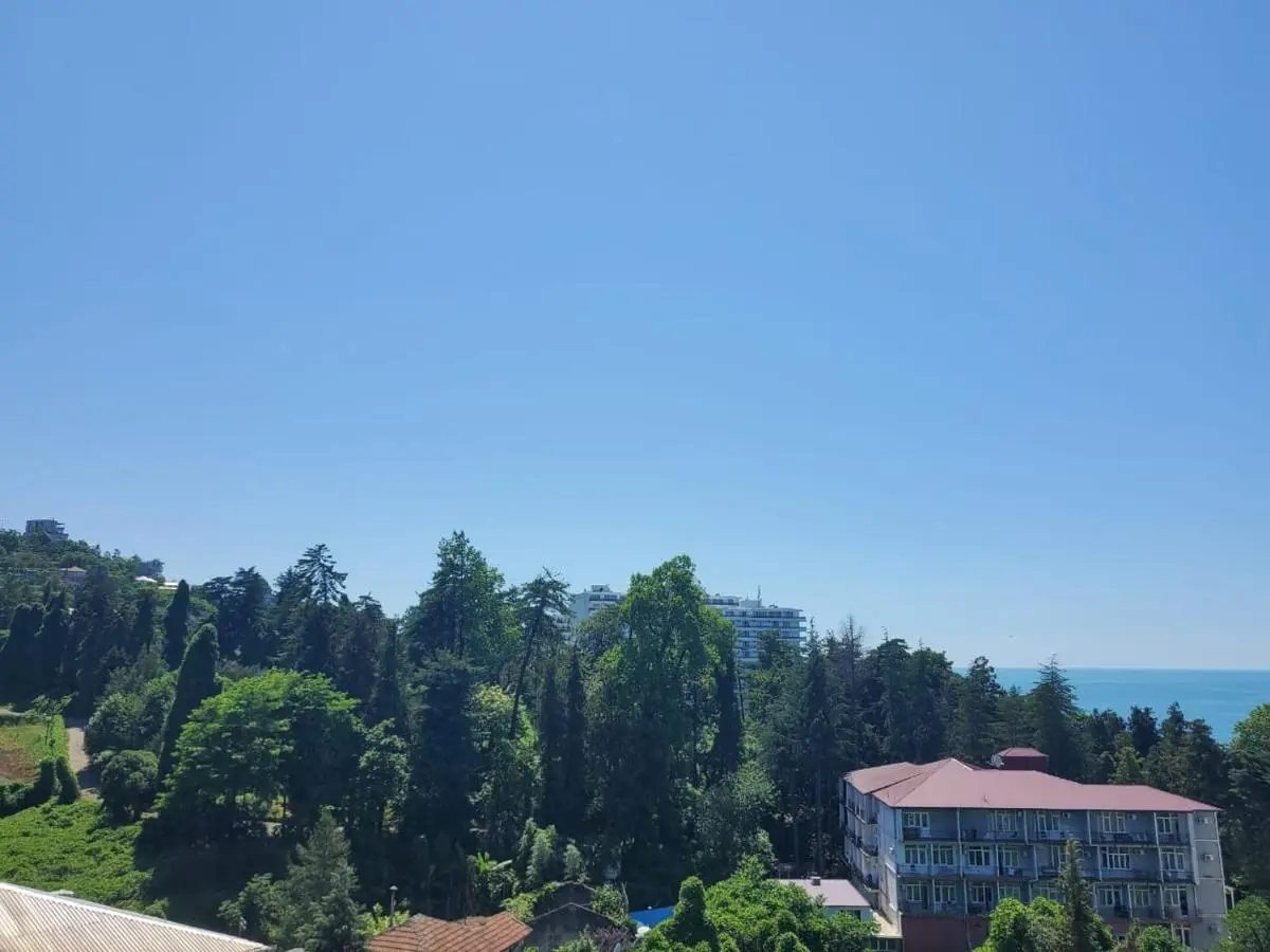 Batumi Aparthotel 22D